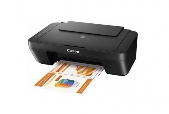 Πολυμηχάνημα Canon Pixma MG2550s